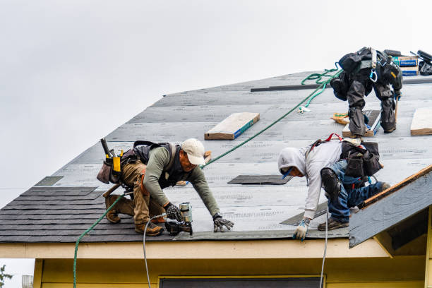 Professional Gutter Installation technician working in East Brady, PA